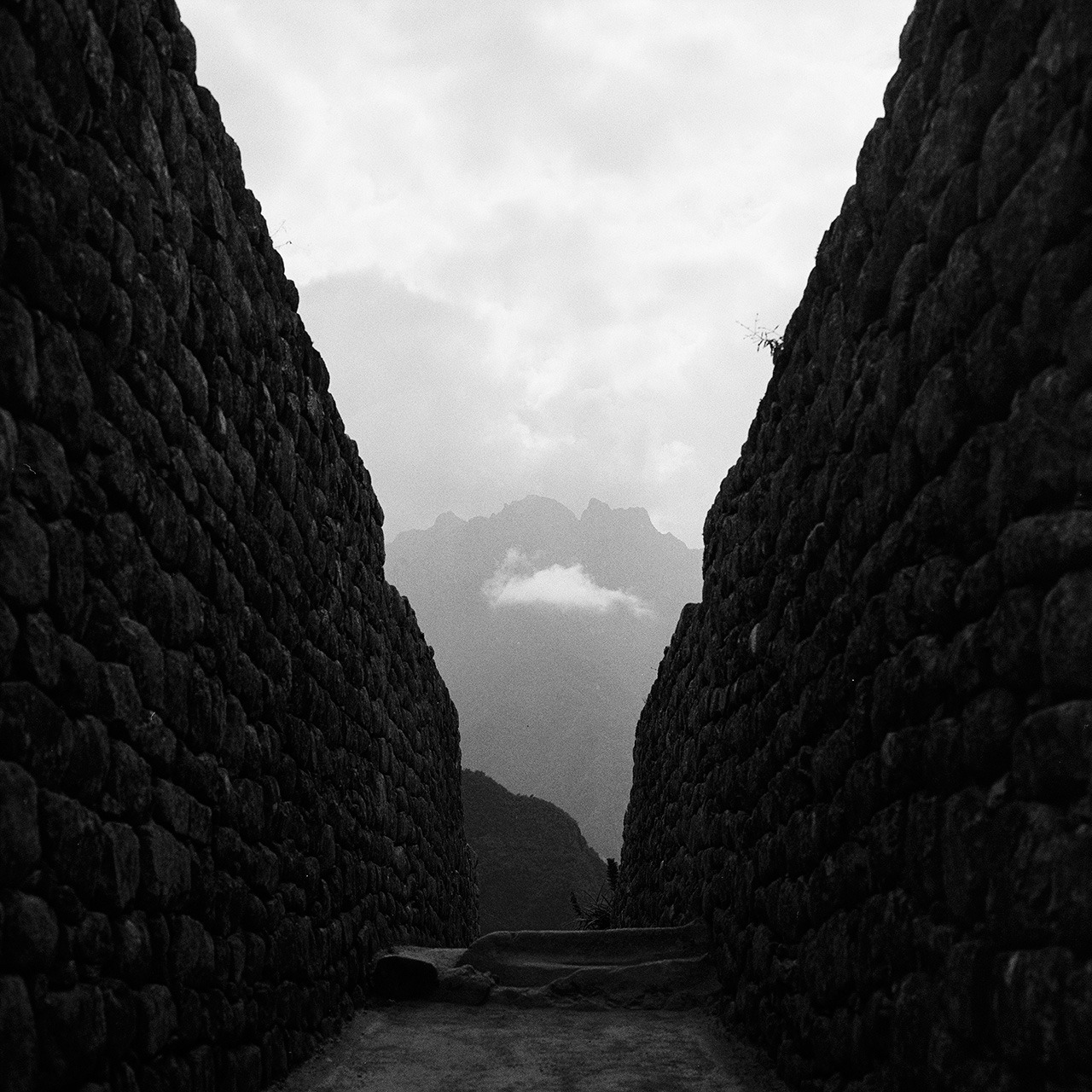 Archillect ID 308548