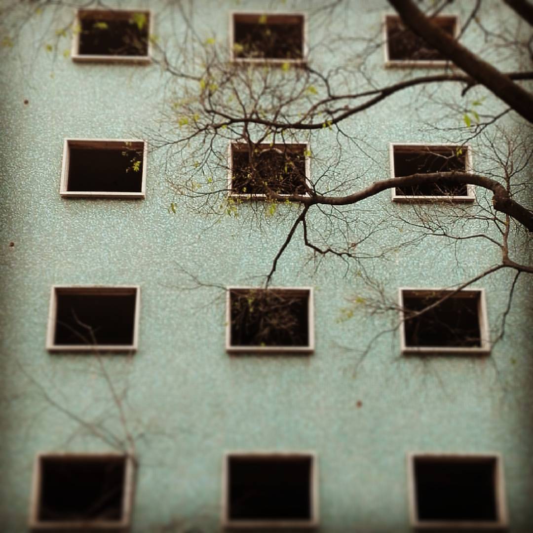 Archillect ID 308585