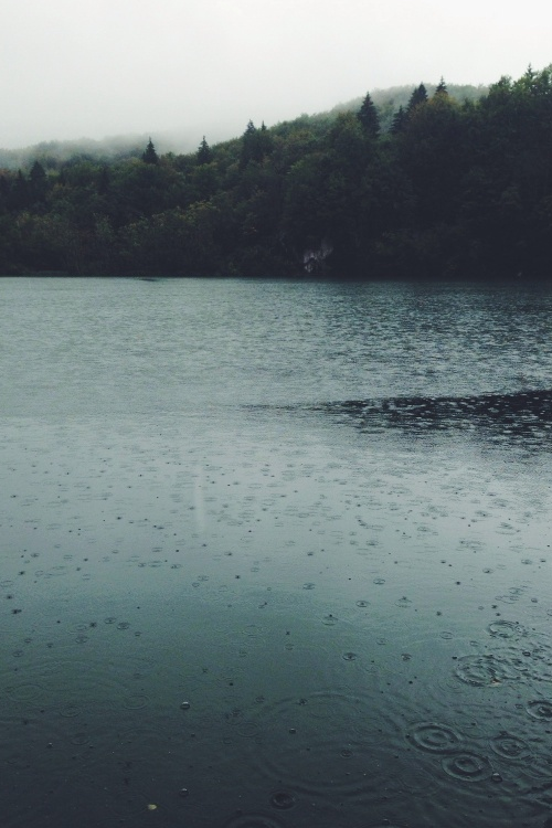 Archillect ID 308587
