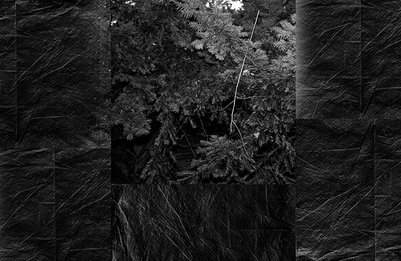 Archillect ID 308854