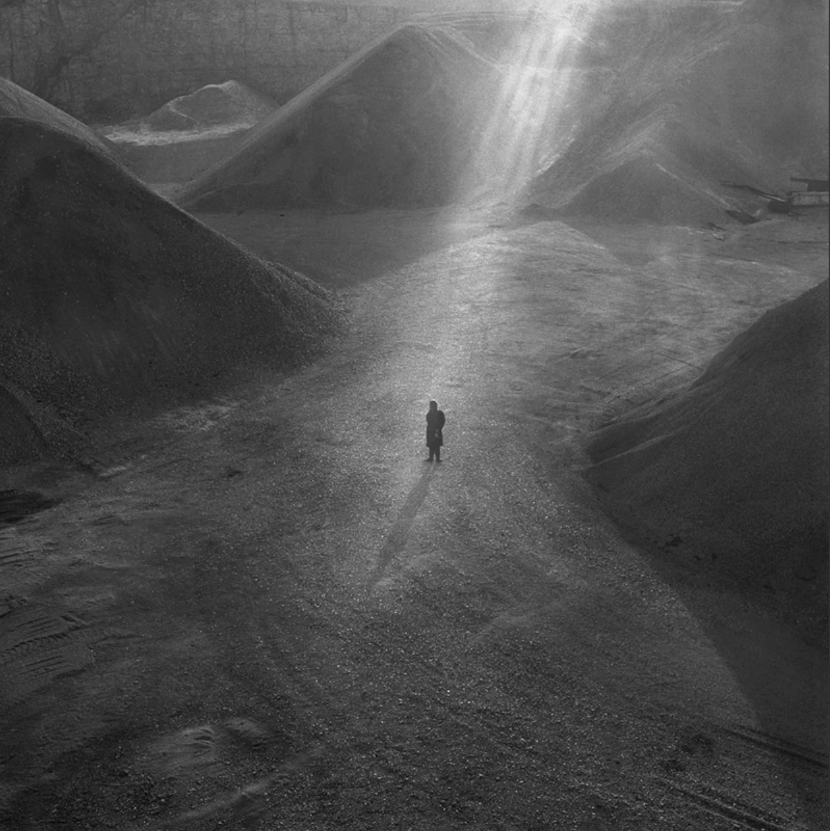 Archillect ID 308919
