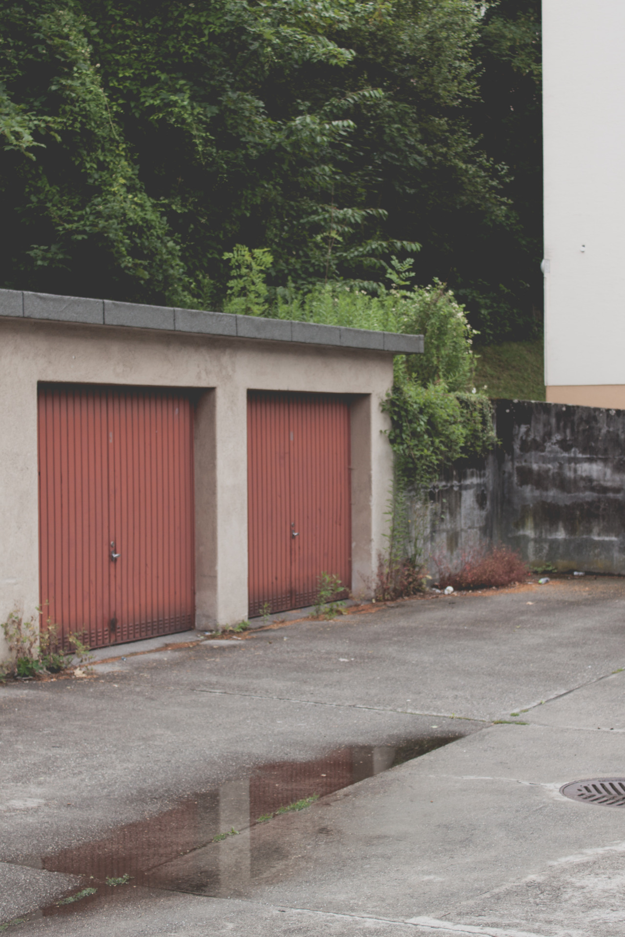 Archillect ID 308937