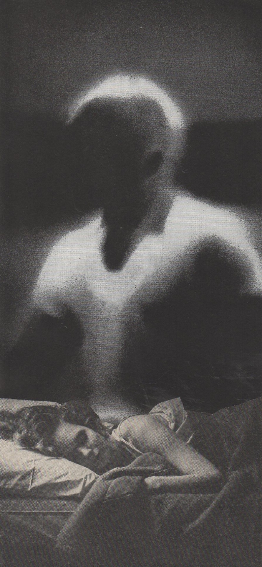 Archillect ID 308975
