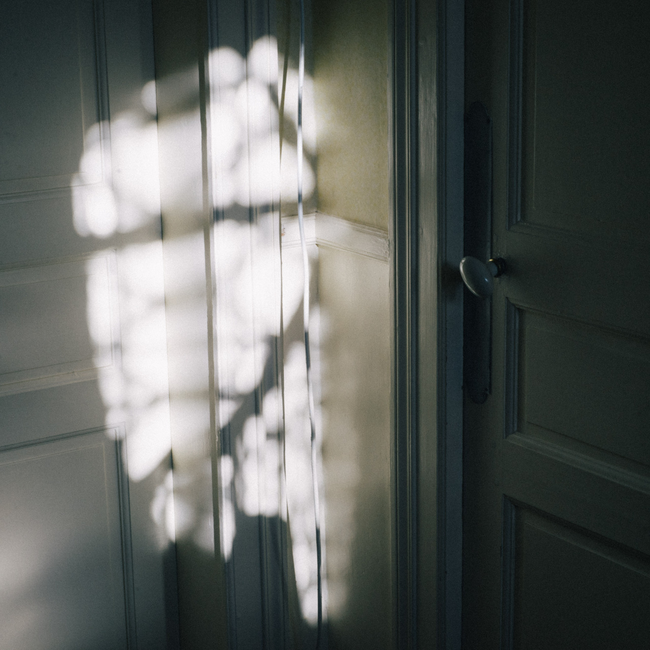Archillect ID 309175