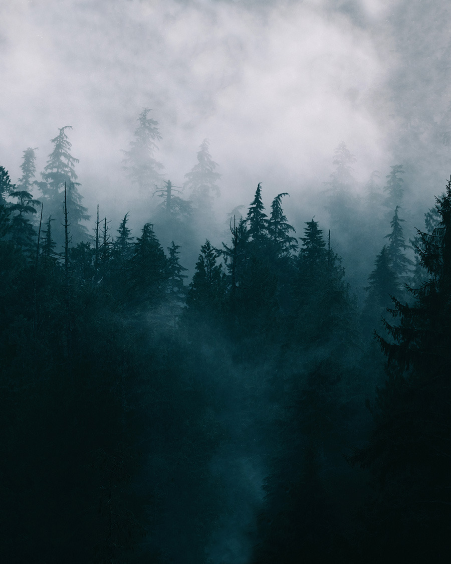 Archillect ID 309470
