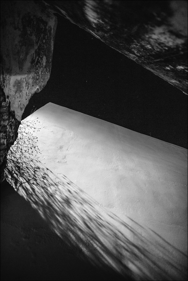 Archillect ID 309729