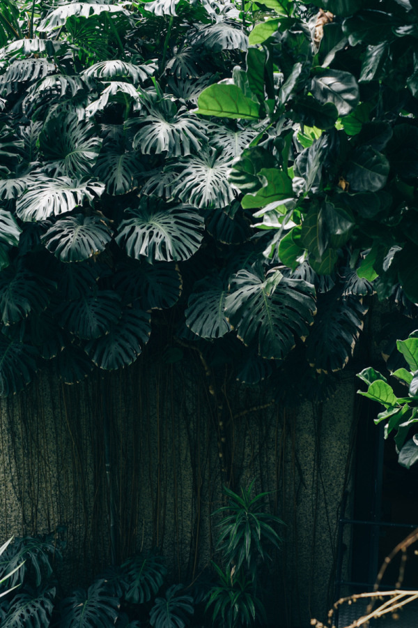 Archillect ID 309802