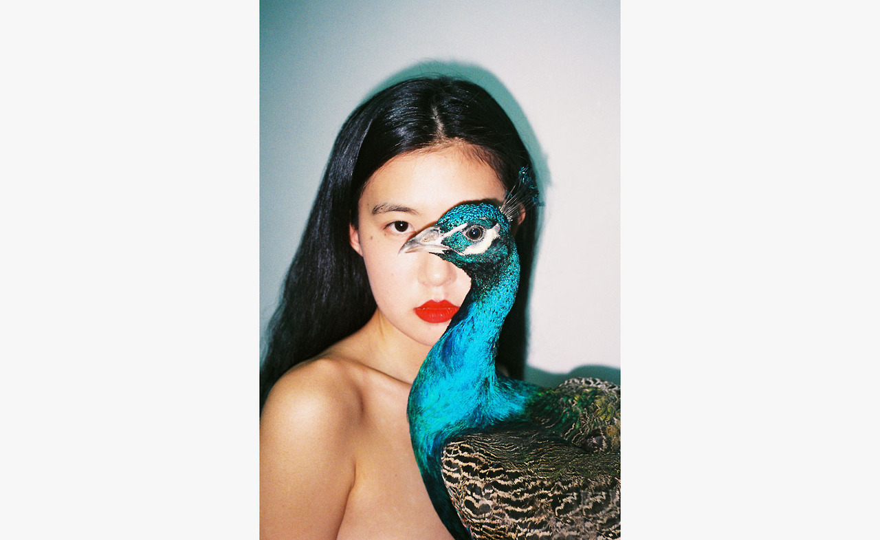 Archillect ID 309861