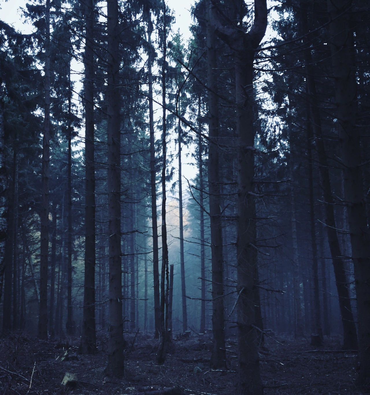 Archillect ID 310124