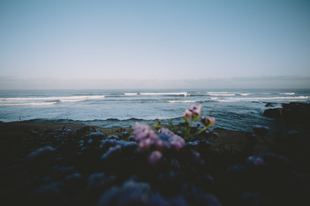 Archillect ID 310129