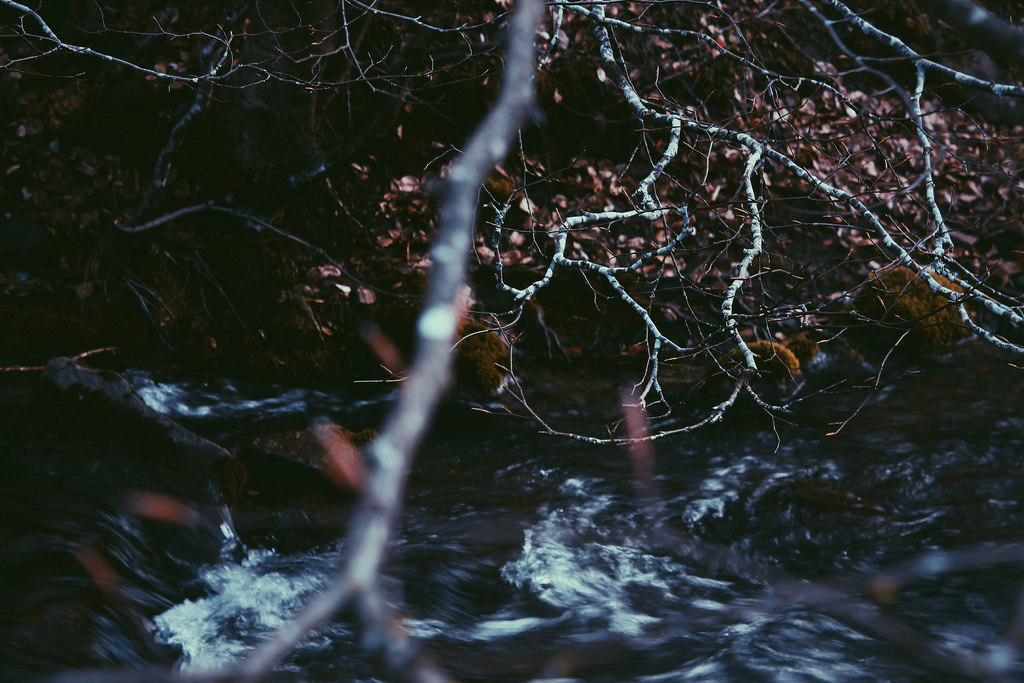 Archillect ID 310200
