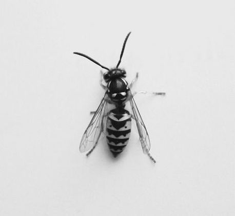 Archillect ID 310277