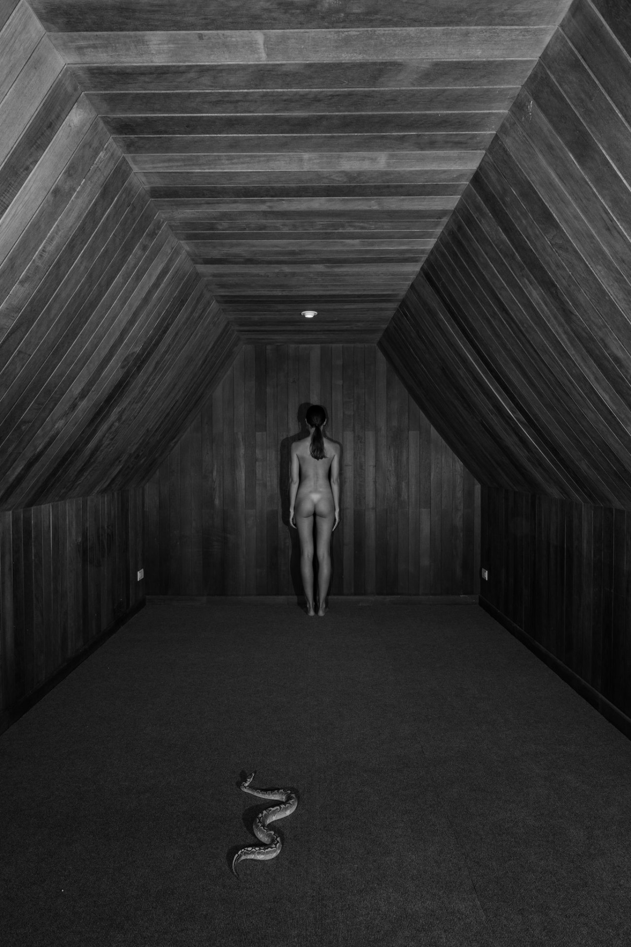 Archillect ID 310443