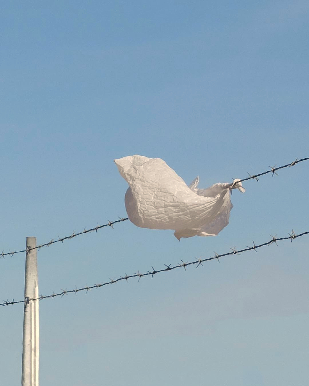 Archillect ID 310462