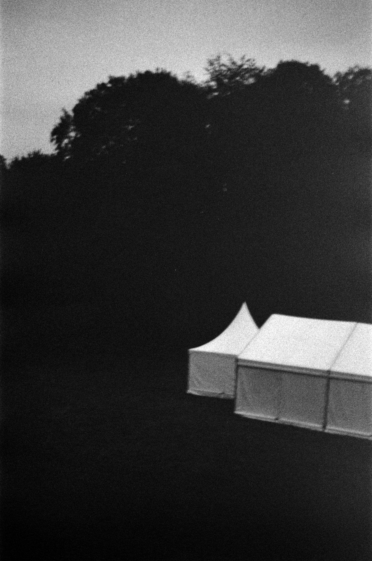 Archillect ID 310812