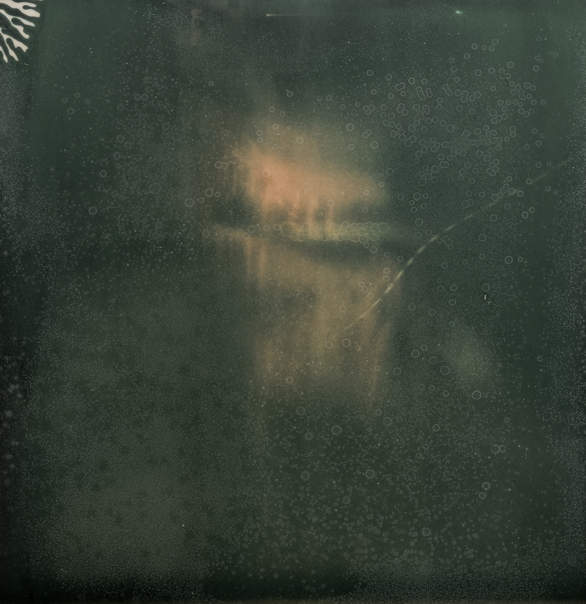Archillect ID 310855