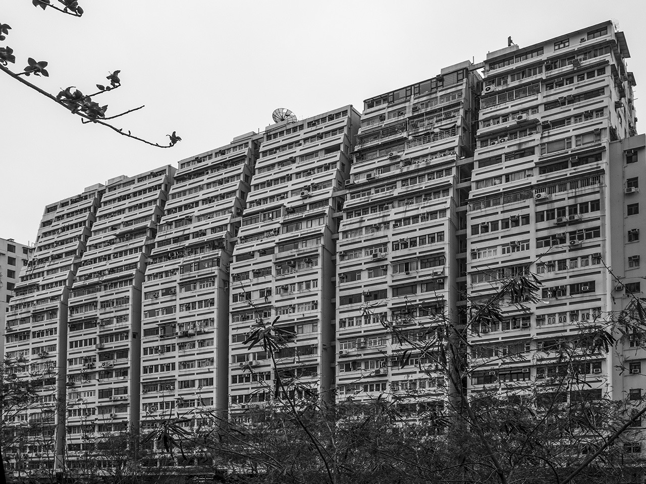 Archillect ID 310906