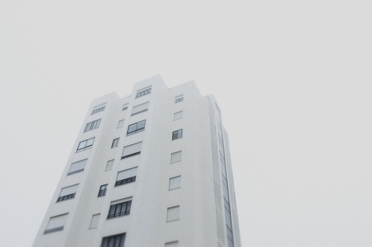 Archillect ID 311343