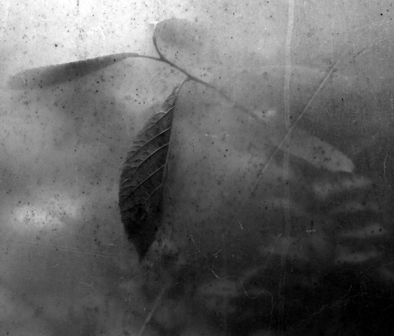 Archillect ID 311358