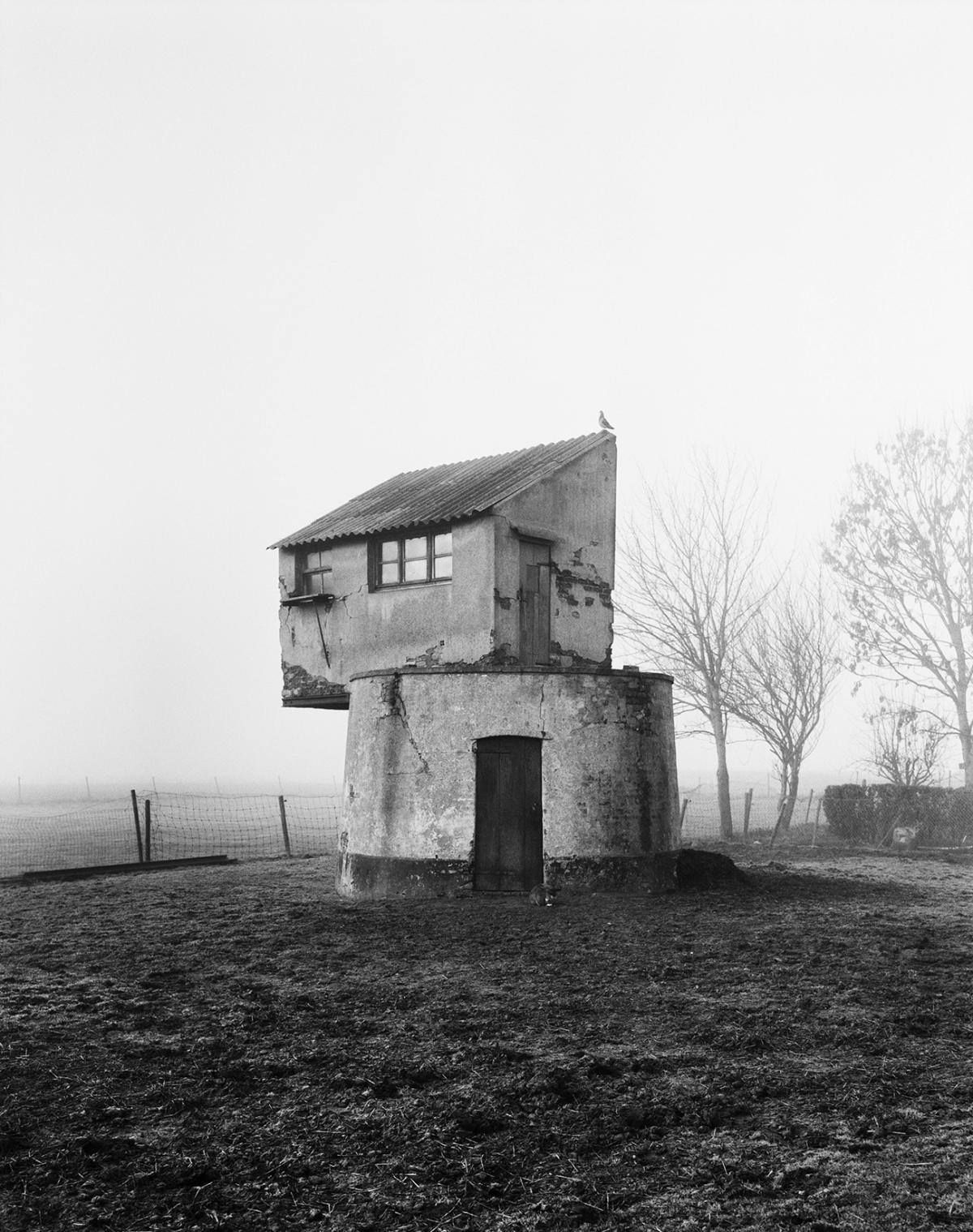 Archillect ID 311485