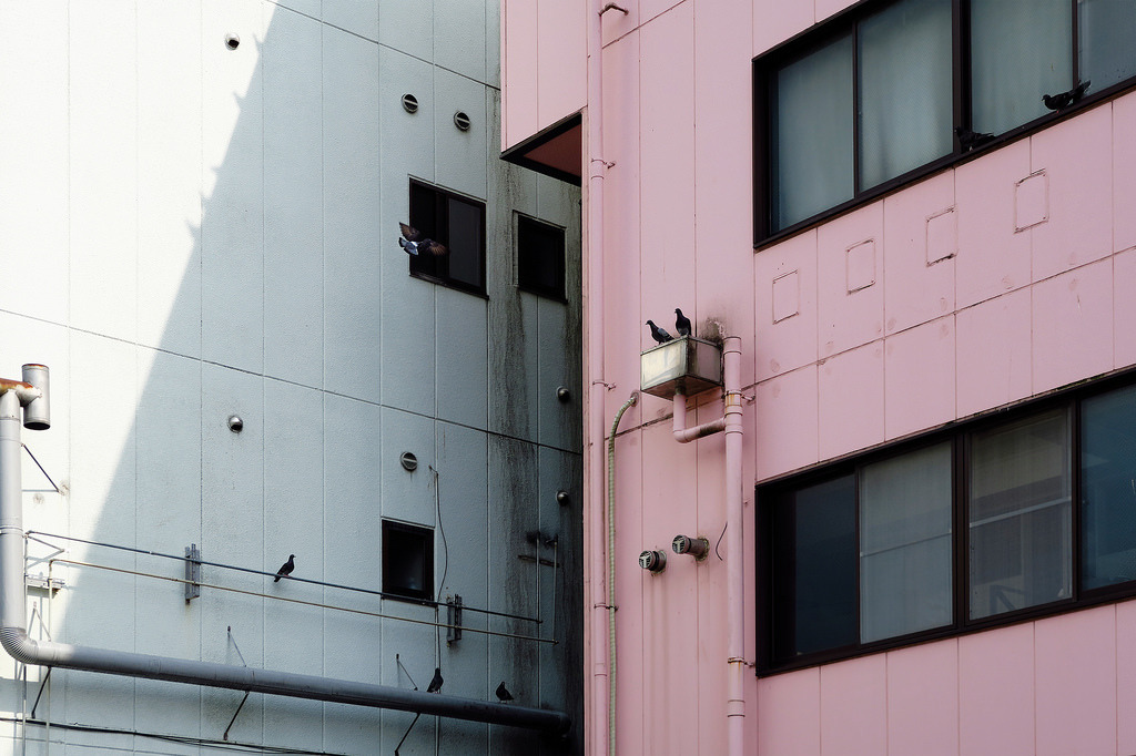 Archillect ID 311519