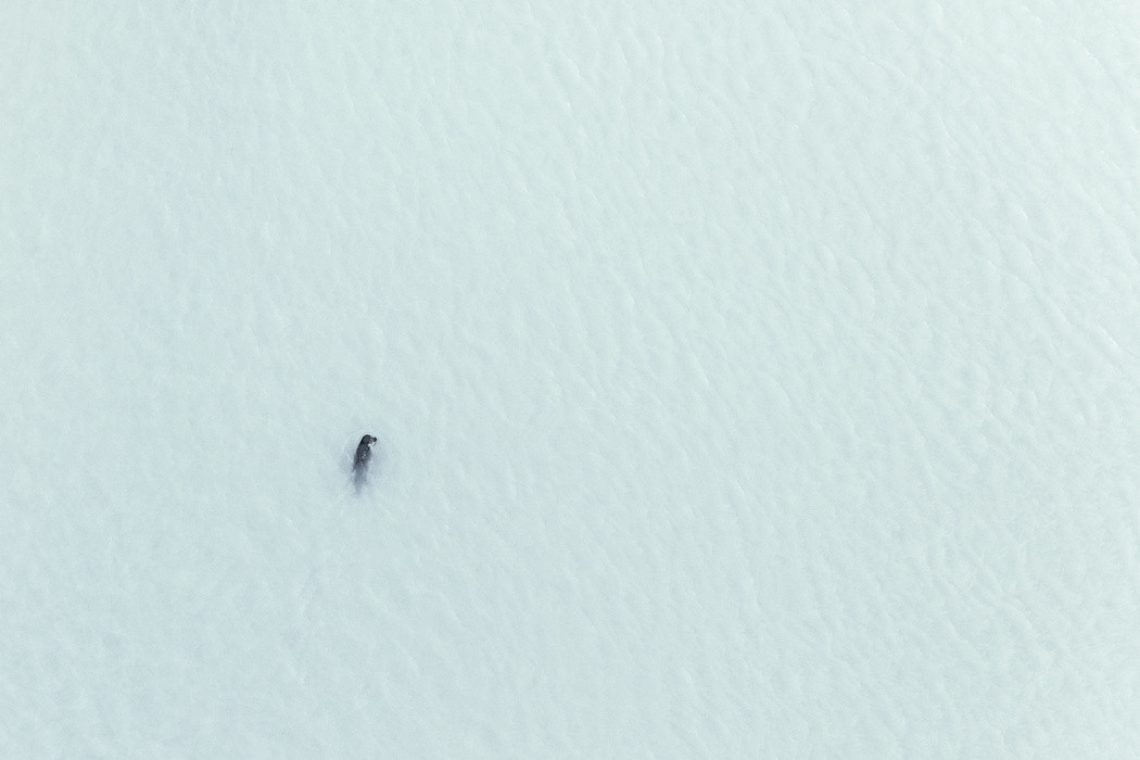 Archillect ID 311605