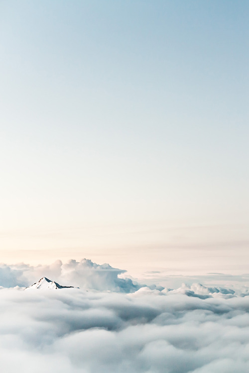 Archillect ID 311630