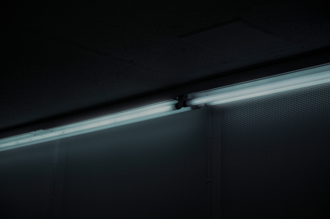 Archillect ID 311894