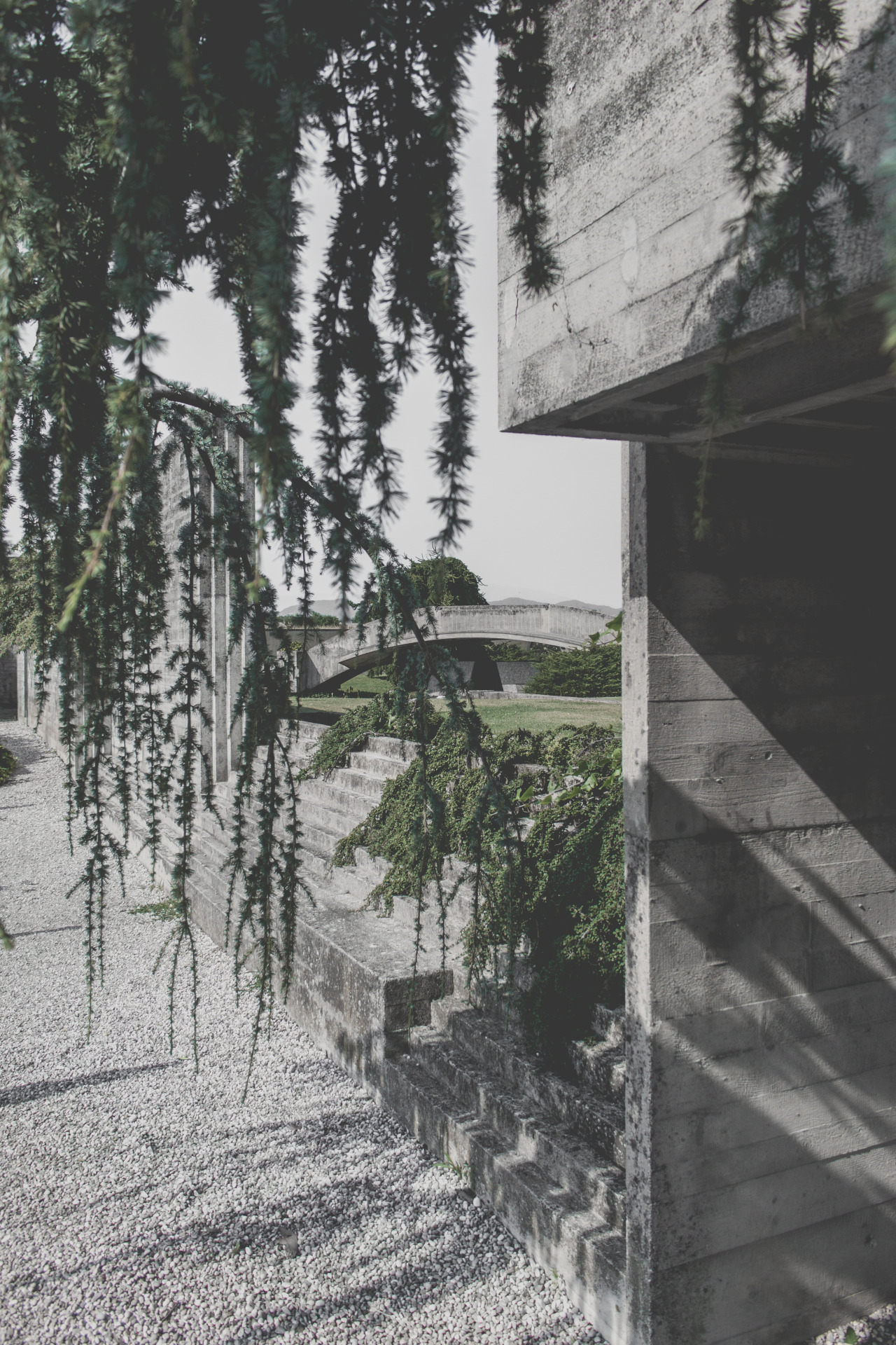Archillect ID 311916