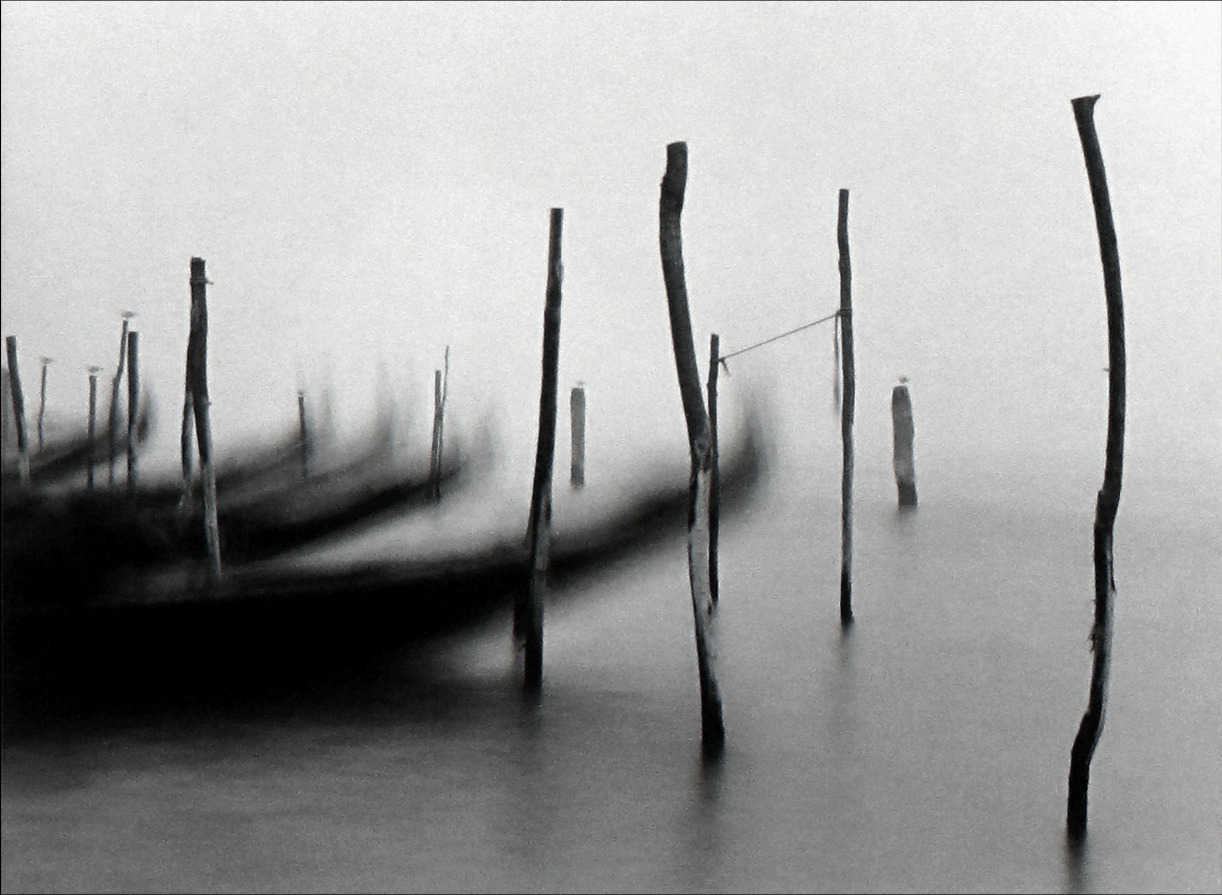 Archillect ID 312008