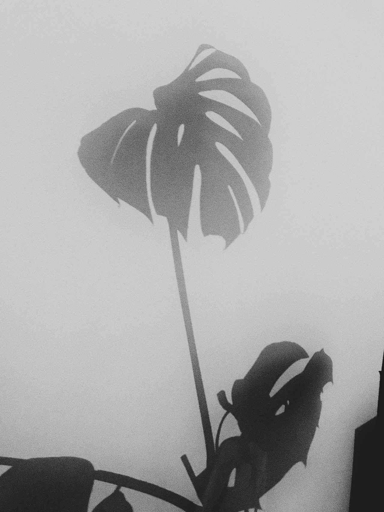 Archillect ID 312142