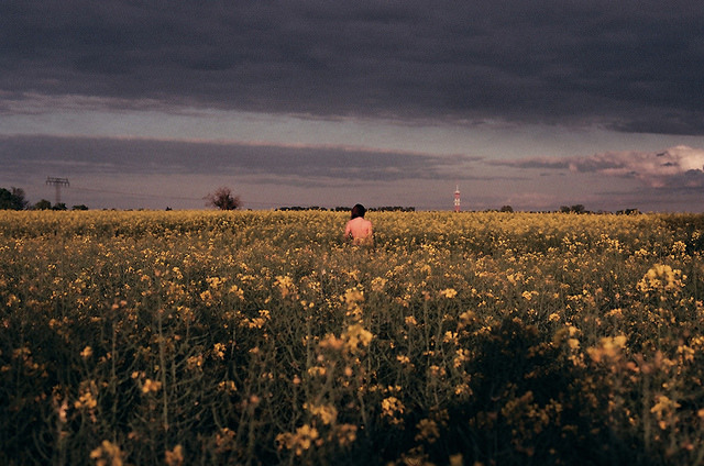 Archillect ID 312198