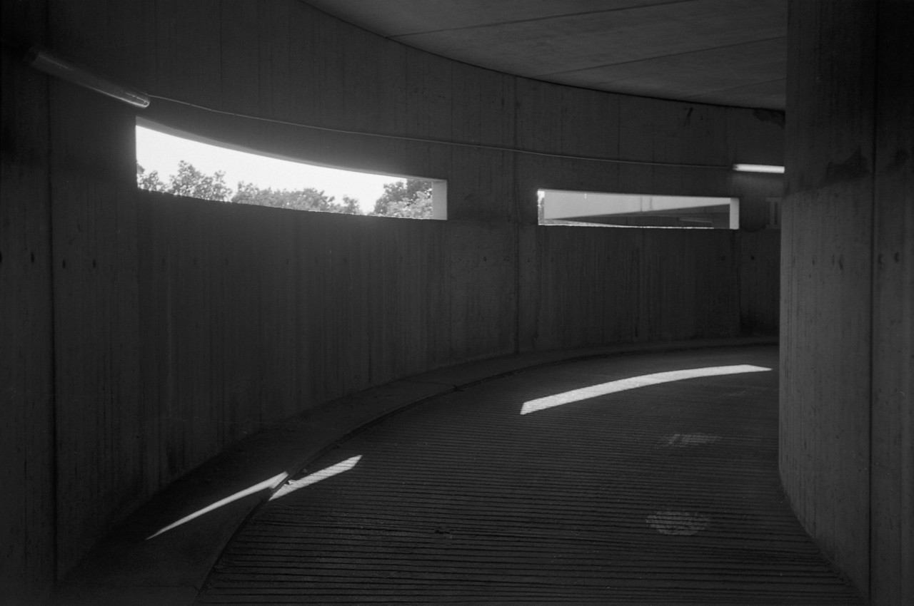Archillect ID 312225