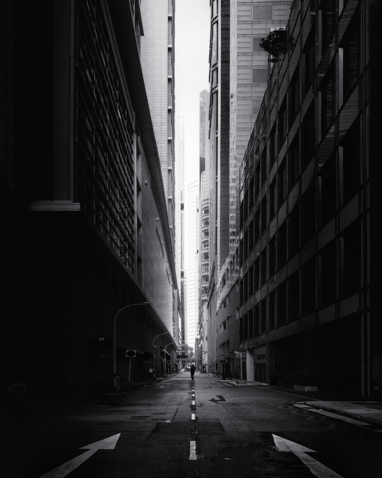 Archillect ID 312467