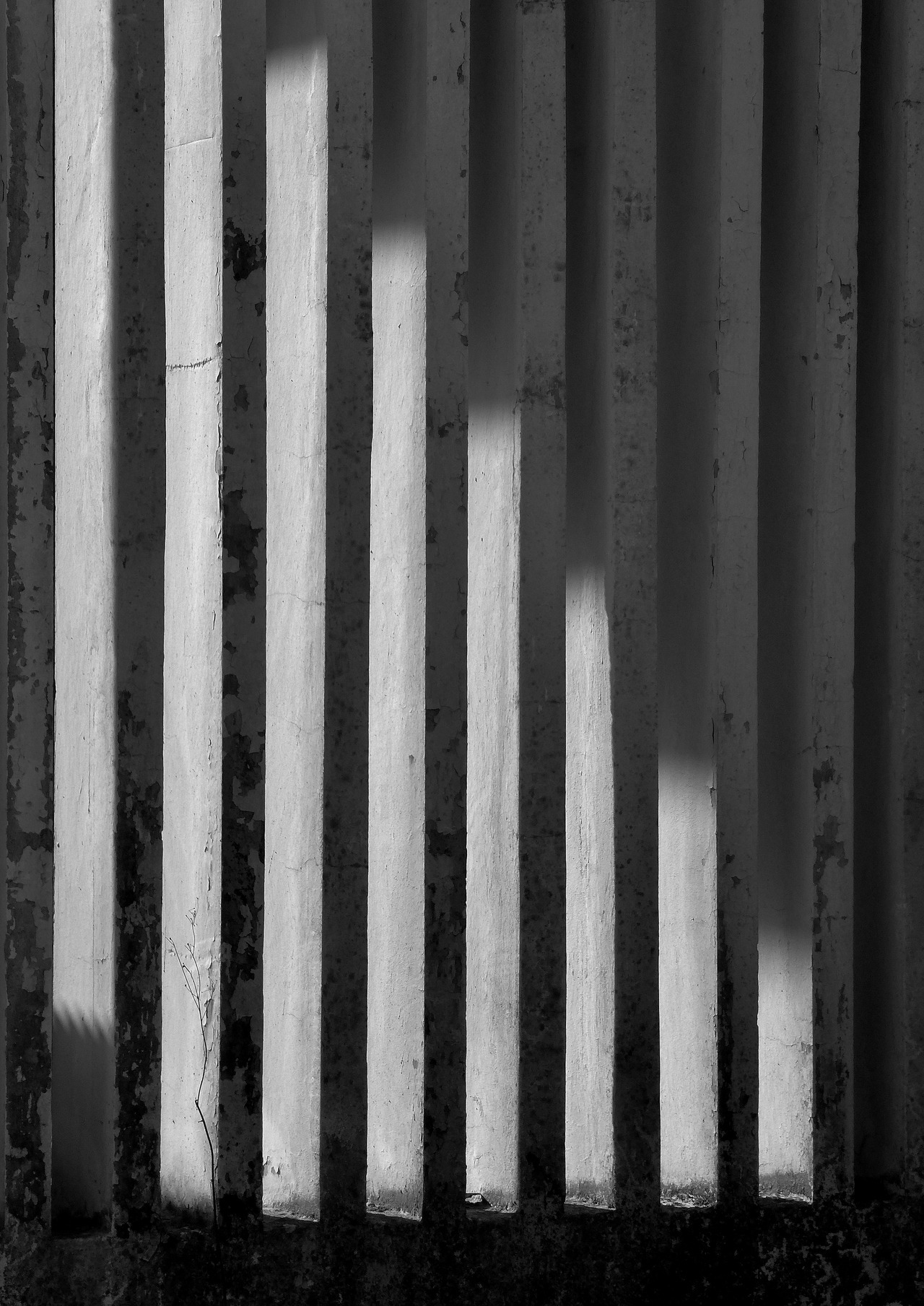 Archillect ID 312474