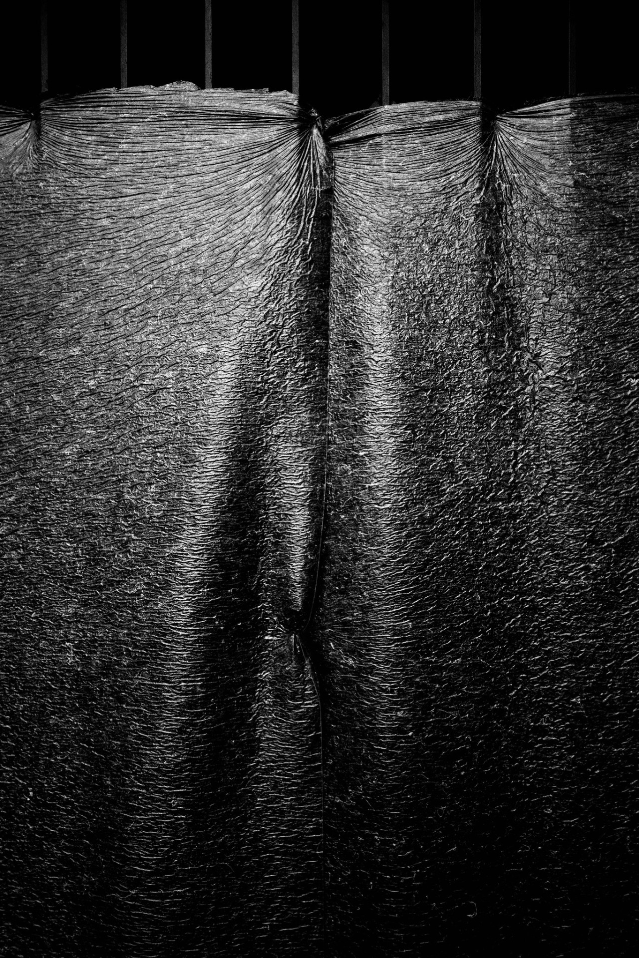 Archillect ID 312538