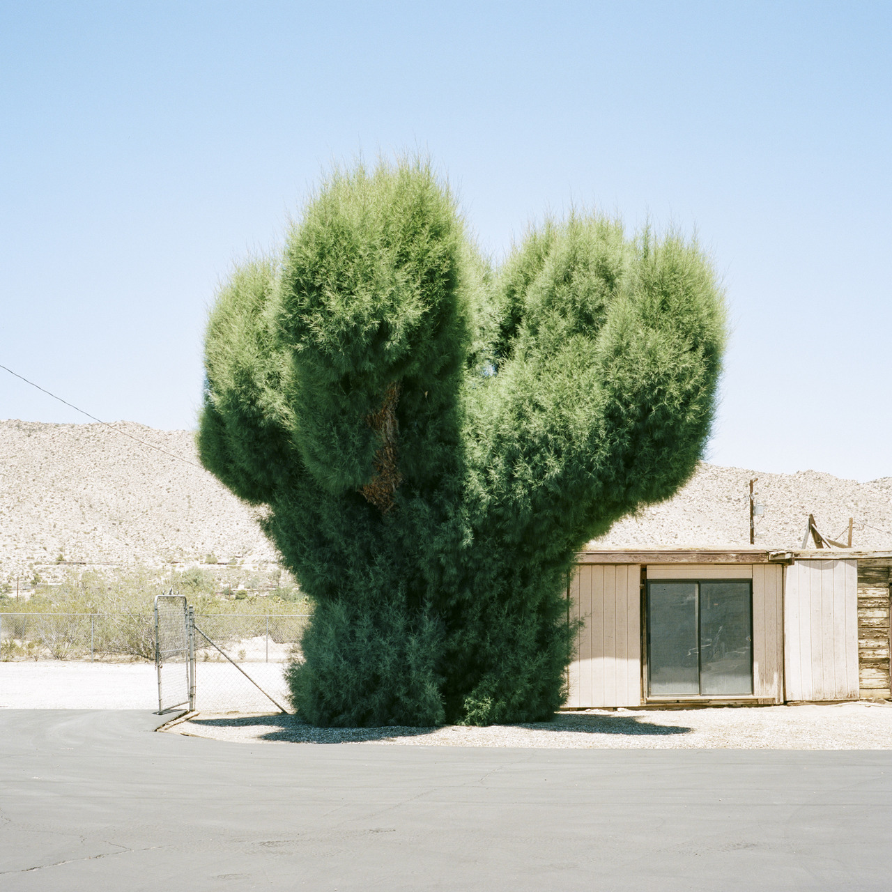 Archillect ID 312576