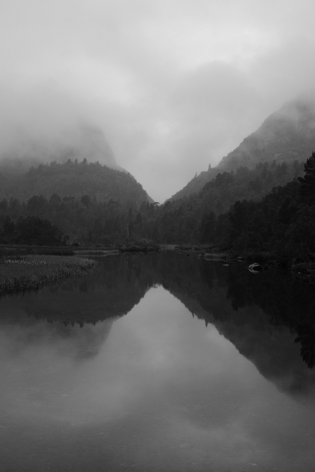 Archillect ID 312634