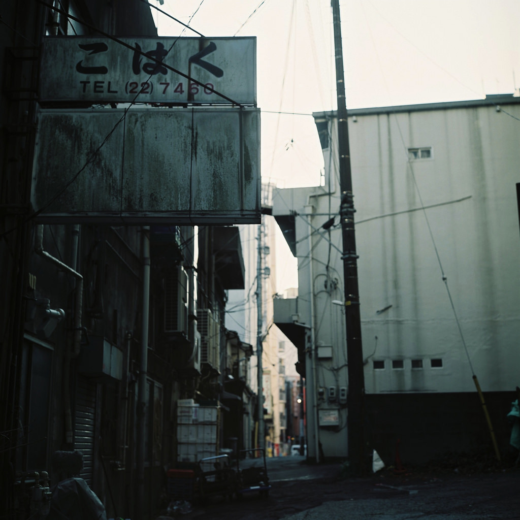 Archillect ID 313032
