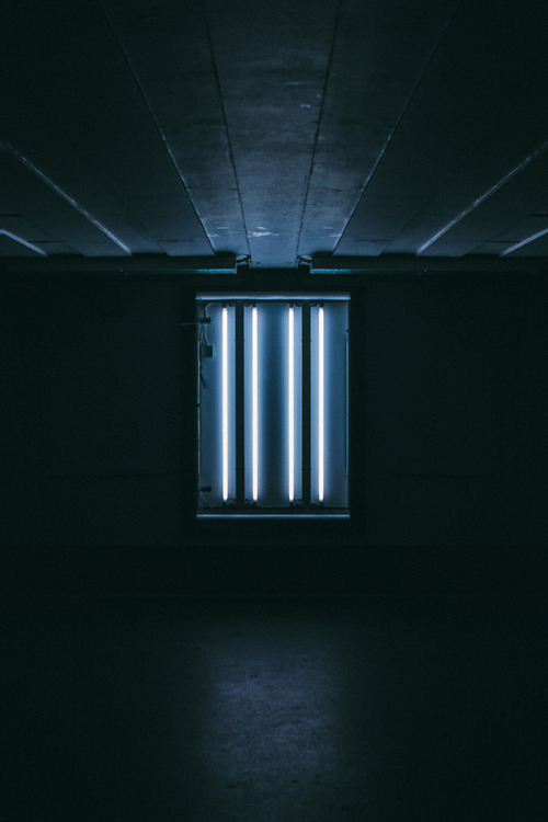 Archillect ID 313263