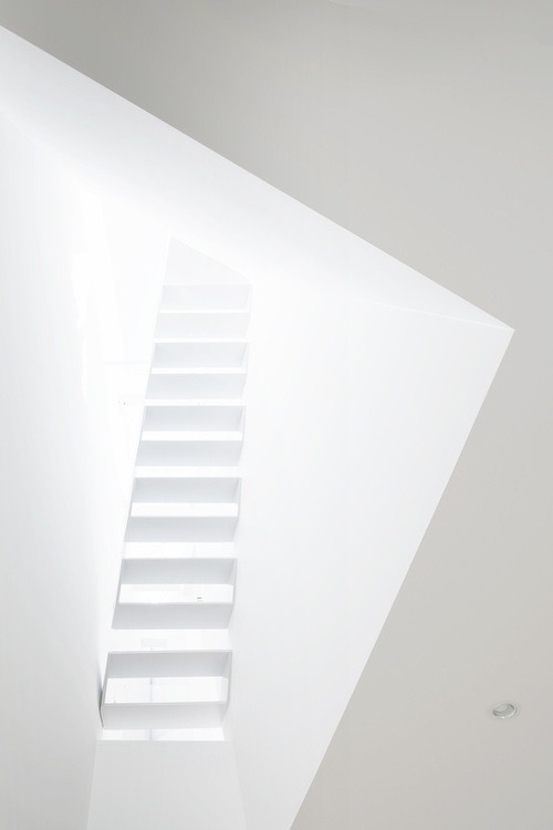 Archillect ID 313310