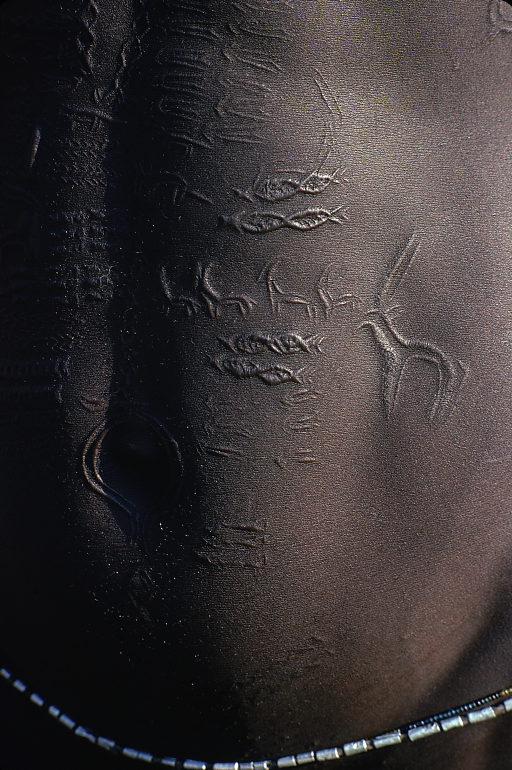 Archillect ID 313828