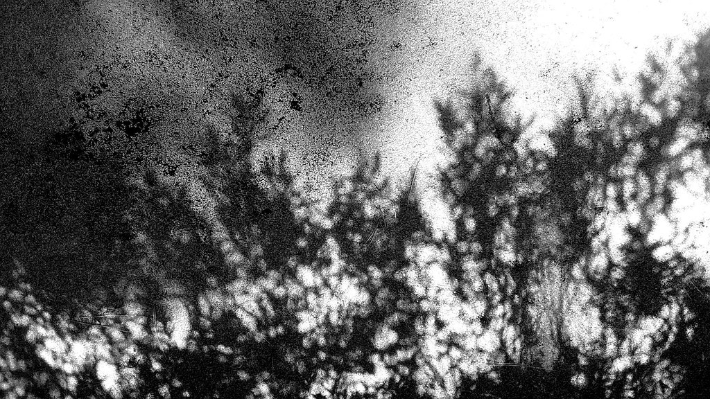 Archillect ID 314595