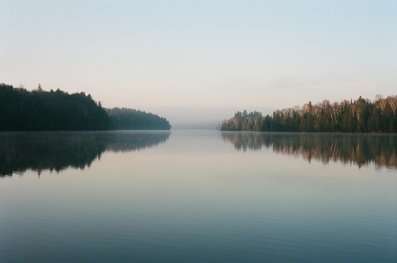 Archillect ID 314894