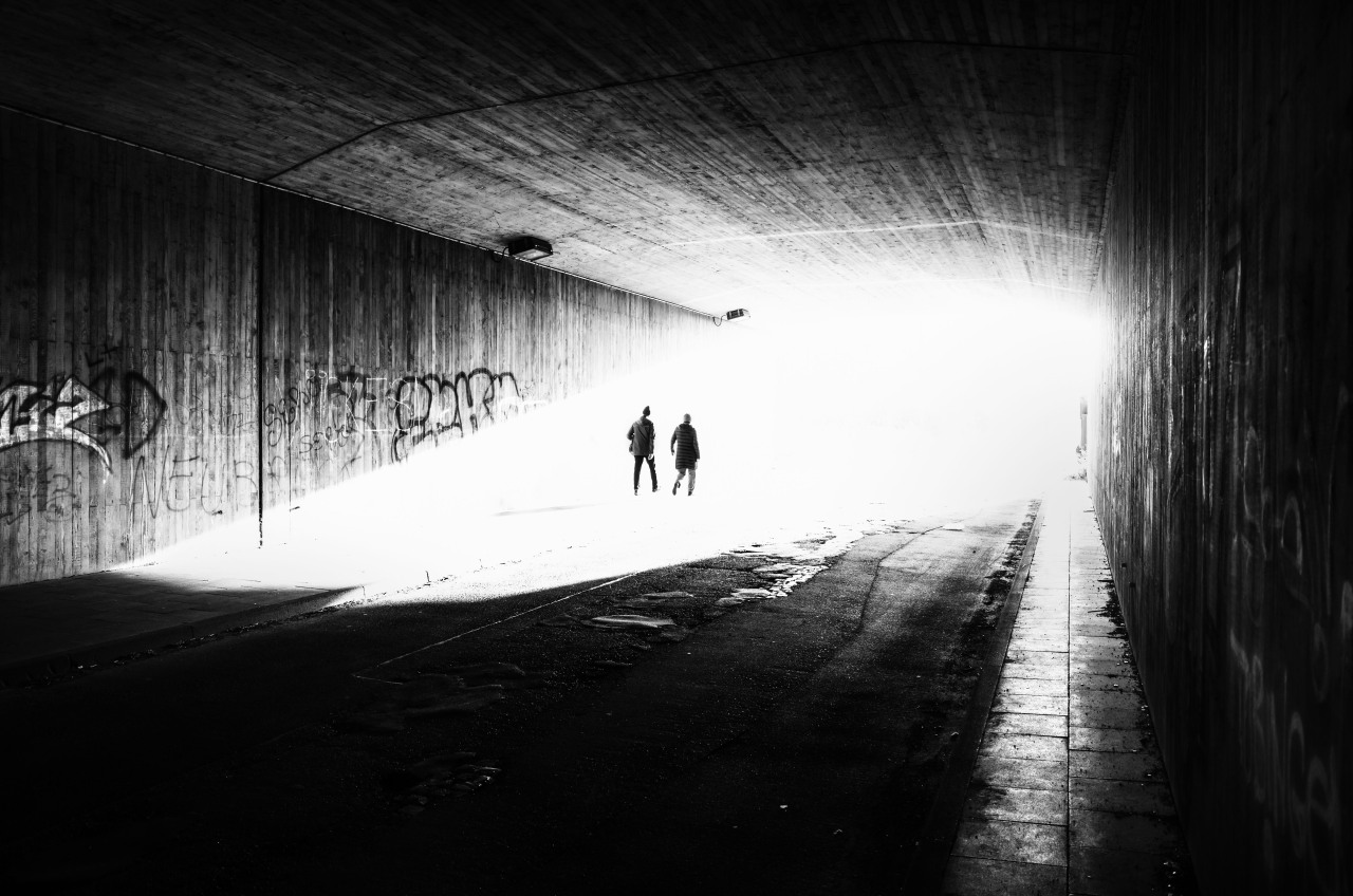 Archillect ID 315733