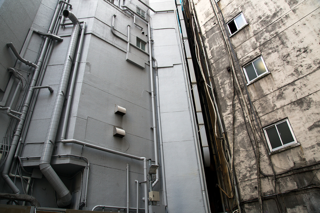 Archillect ID 316073