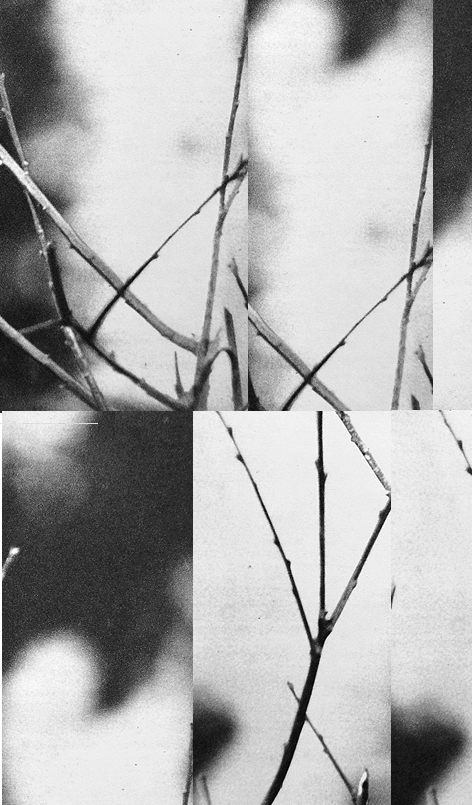 Archillect ID 316338