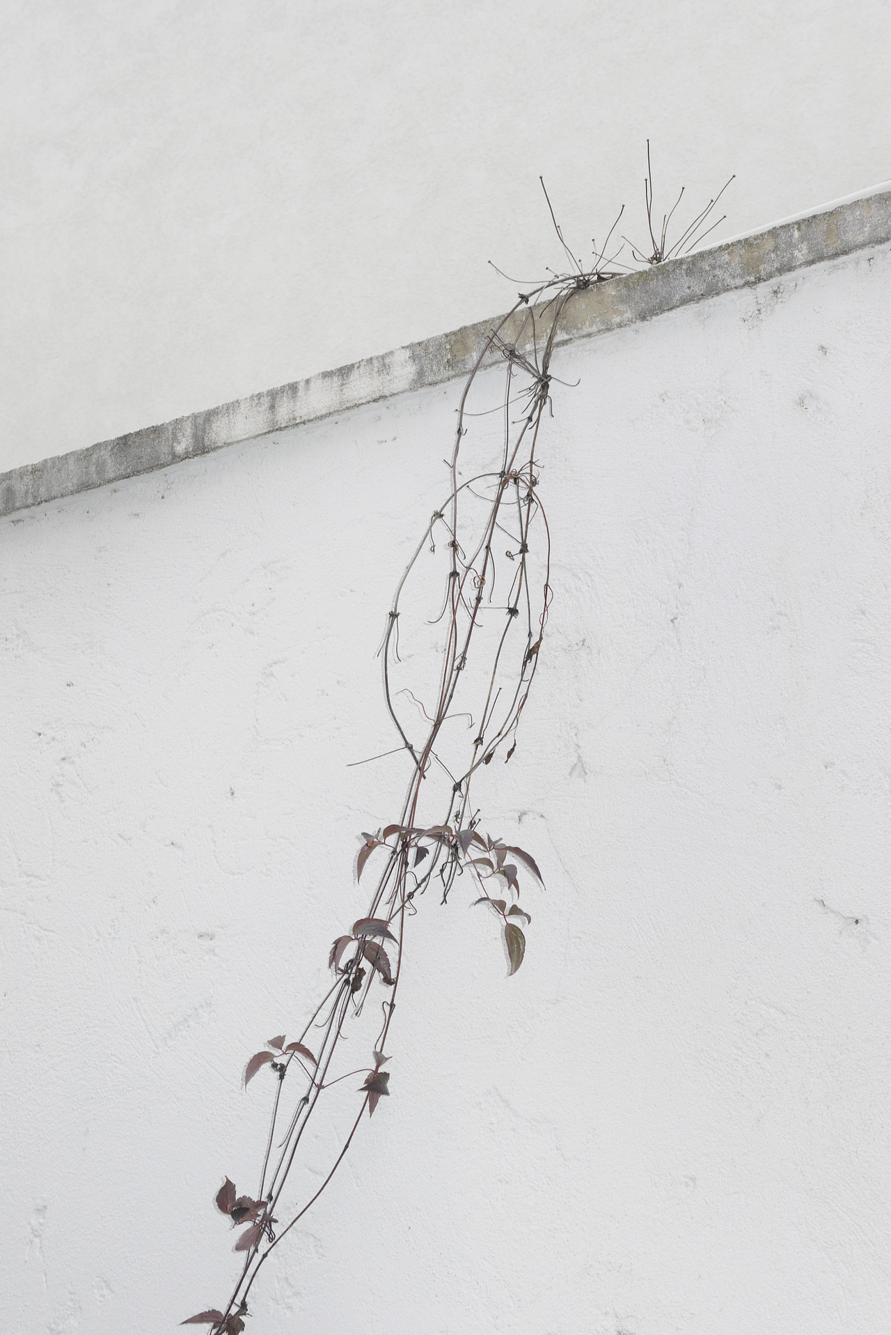Archillect ID 316535