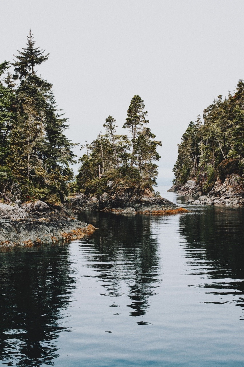 Archillect ID 316620