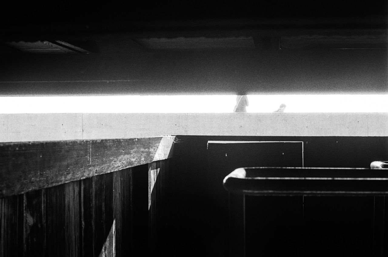 Archillect ID 316750